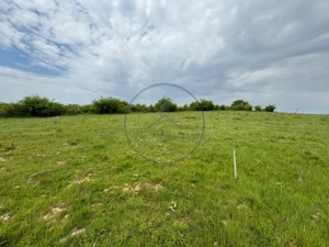 Teren intravilan 500mp, Alea Trifoiului