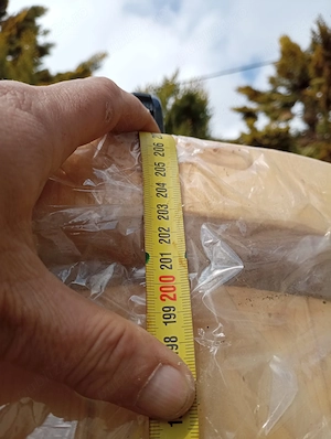 Usi arcada  boltite de interior - lemn masiv+stratificat - imagine 2