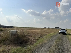 Parcele teren de vanzare in Sanandrei - ID V5451