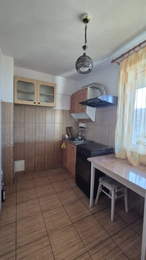 Apartament 2 camere, mobilat, utilat, Campia Libertatii, pet friendly - imagine 9