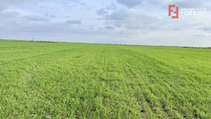 Parcela de teren intravilan de vanzare, 502 mp - Sacalaz - imagine 5