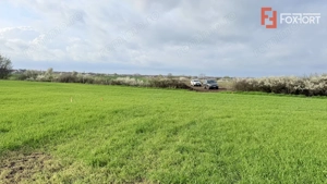 Parcela de teren intravilan de vanzare, 502 mp - Sacalaz - imagine 4