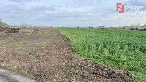 Parcela de teren intravilan de vanzare, 502 mp - Sacalaz - imagine 2