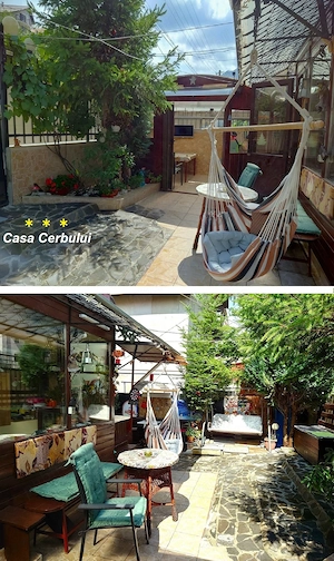 Cazare PAȘTE, Casa Cerbului Azuga, apartament 6 persoane