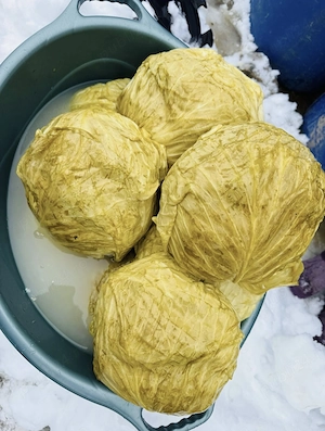 Varză murată tradițională ROMÂNEASCĂ și MARLOO