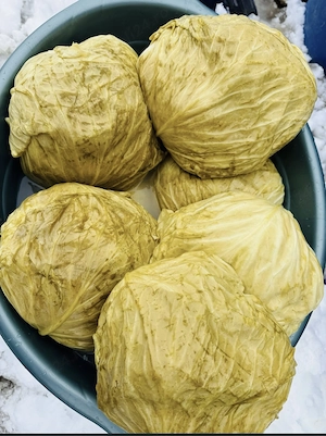 Varză murată tradițională ROMÂNEASCĂ MARLOO