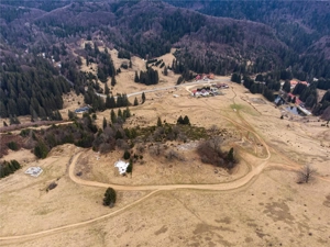 Teren Intravilan 6500 MP- Valea Poienii Aviatorilor ,Aproape de Poiana Brasov si Dino Park - imagine 2