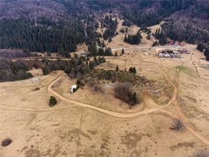 Teren Intravilan 6500 MP- Valea Poienii Aviatorilor ,Aproape de Poiana Brasov si Dino Park