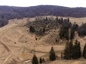 Teren Intravilan 6500 MP- Valea Poienii Aviatorilor ,Aproape de Poiana Brasov si Dino Park - imagine 10