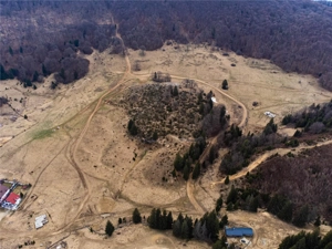 Teren Intravilan 6500 MP- Valea Poienii Aviatorilor ,Aproape de Poiana Brasov si Dino Park - imagine 6