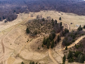 Teren Intravilan 6500 MP- Valea Poienii Aviatorilor ,Aproape de Poiana Brasov si Dino Park - imagine 9