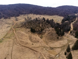 Teren Intravilan 6500 MP- Valea Poienii Aviatorilor ,Aproape de Poiana Brasov si Dino Park - imagine 8