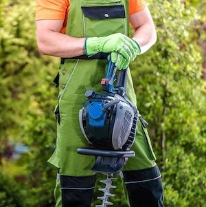  Angajam personal cu experiența in domeniul spatiilor verzi