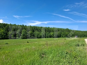 Teren Brasov , Dumbravita ,intravilan 600 mp pretabil casa sau casa de vacanta  - imagine 2