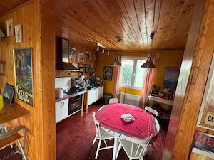 Vand casa din lemn cu teren generos Pasajul domnesti