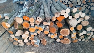 vind lemne la metru sau tăiate la dimensiunea dorita mai.multe detalii la nr  