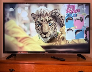 URGENT VAND Smart Tv Horizon,diagonala 124 cm