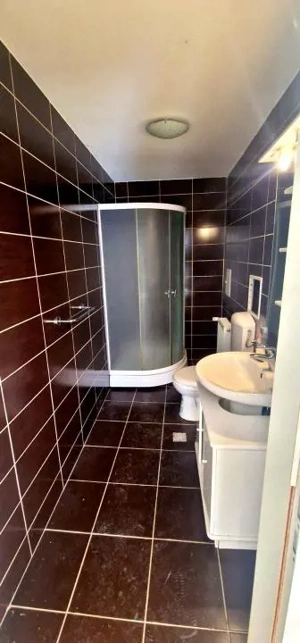Casa cu 6 camere 5 bai si 960 mp teren de vanzare in zona centrala Sibiu - imagine 17