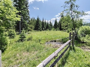 Teren intravilan cu pârâu langa Vatra Dornei19.370m.p. - imagine 7