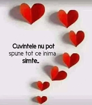 Vând haină  stofă  - imagine 5