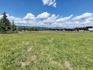 Teren intravilan cu pârâu langa Vatra Dornei19.370m.p. - imagine 4