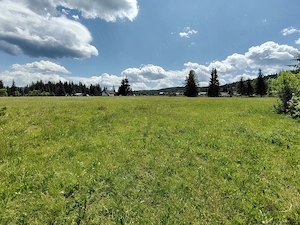 Teren Neagra Sarului 19370m.p.