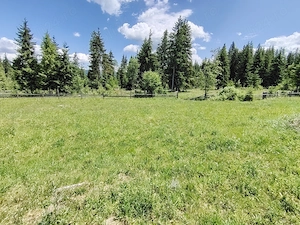 Teren intravilan cu pârâu langa Vatra Dornei19.370m.p. - imagine 8