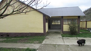 Gospodarie-4 cladiri-teren 2900mp-zona Vetel - imagine 2