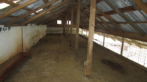 Gospodarie-4 cladiri-teren 2900mp-zona Vetel - imagine 5