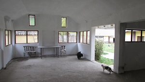 Gospodarie-4 cladiri-teren 2900mp-zona Vetel - imagine 8