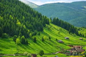 7.000 mp, pozitie spectaculoasa, fara vecini, Fundatica, Brasov - imagine 9