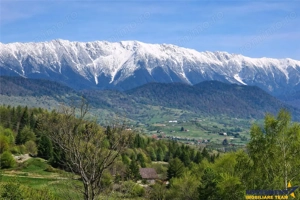 7.000 mp, pozitie spectaculoasa, fara vecini, Fundatica, Brasov - imagine 6