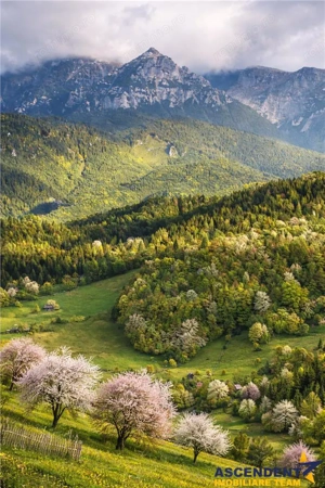 7.000 mp, pozitie spectaculoasa, fara vecini, Fundatica, Brasov - imagine 7