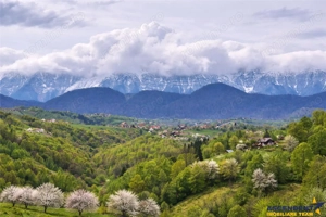 7.000 mp, pozitie spectaculoasa, fara vecini, Fundatica, Brasov - imagine 2