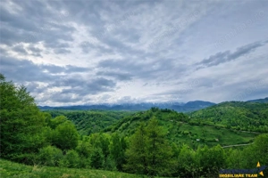 7.000 mp, pozitie spectaculoasa, fara vecini, Fundatica, Brasov - imagine 4