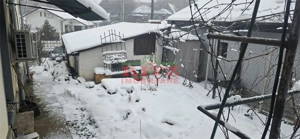 CASA DE VANZARE CU GARAJ,ZONA BOLD - imagine 10