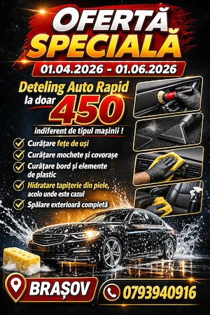 Detaling Auto Profesional