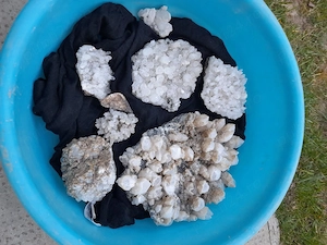 de vinzre ce se vede