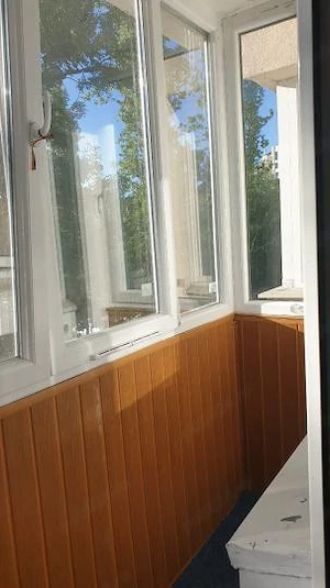 dristor mihai bravu clasica stradal - imagine 3