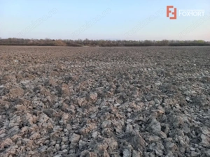 Oportunitate dezvoltare rezidentiala| 4.816 mp | Ghiroda