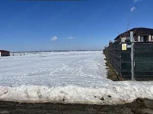 Teren intravilan Creata-Dascalu  - imagine 3