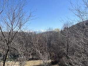 Teren intravilan la munte (2938 mp), la doar 15 minute de Sibiu, zonă superbă  - imagine 5