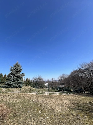 Teren intravilan la munte (2938 mp), la doar 15 minute de Sibiu, zonă superbă  - imagine 10