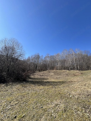Teren intravilan la munte (2938 mp), la doar 15 minute de Sibiu, zonă superbă  - imagine 9