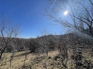 Teren intravilan la munte (2938 mp), la doar 15 minute de Sibiu, zonă superbă  - imagine 8
