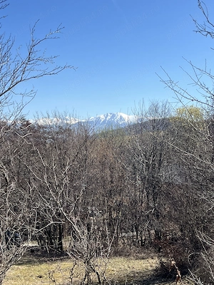 Teren intravilan la munte (2938 mp), la doar 15 minute de Sibiu, zonă superbă  - imagine 2