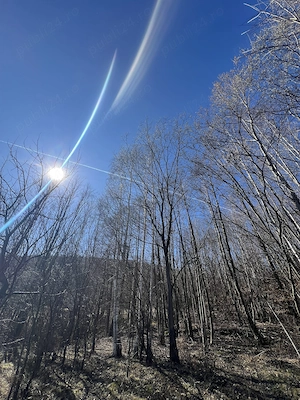 Teren intravilan la munte (2938 mp), la doar 15 minute de Sibiu, zonă superbă  - imagine 3