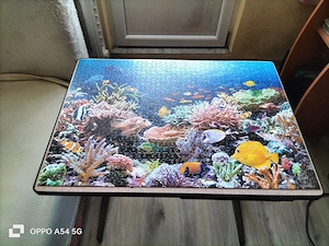 Un puzzle de dimensiuni 68-47