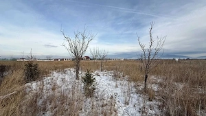 Teren casă intravilan 900 mp, deschidere 21,3 m, Fish4Life - imagine 2