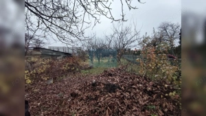 Comision 0%! Casa 70 mp, teren 770 mp, front 12 ml, Dambul Rotund - imagine 2